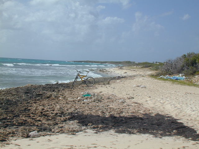 picture #20