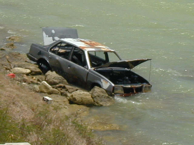 picture #4