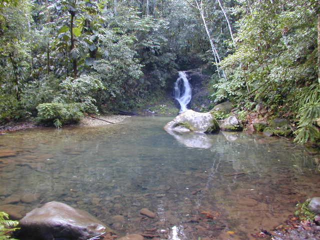 picture #2