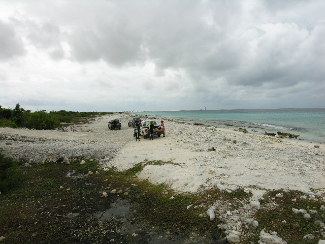 picture #5