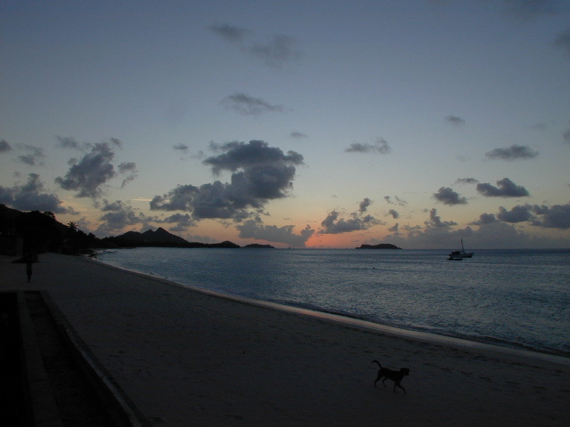 picture #12