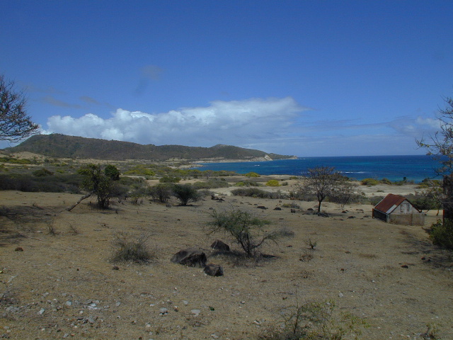 picture #31