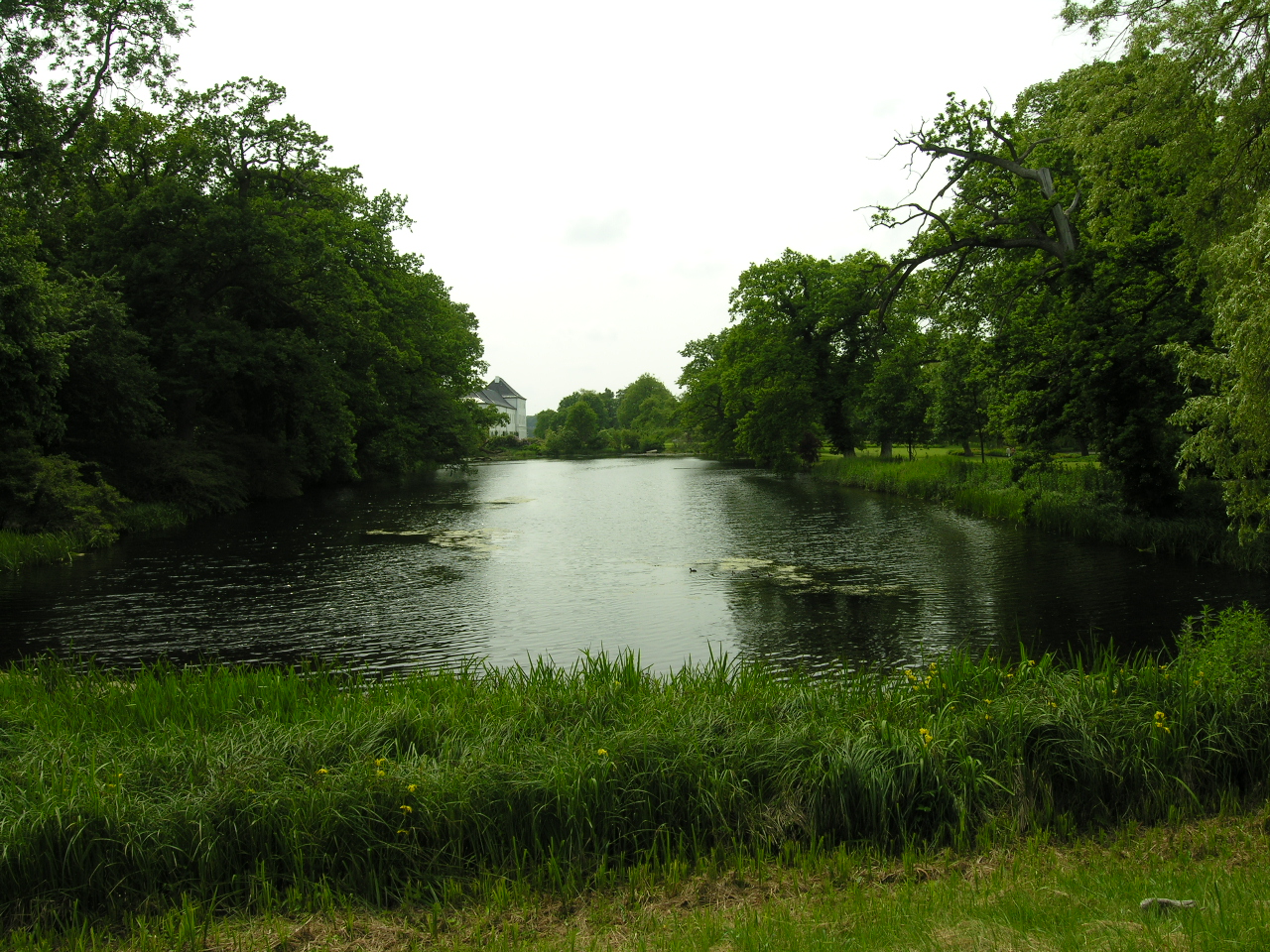 picture #60