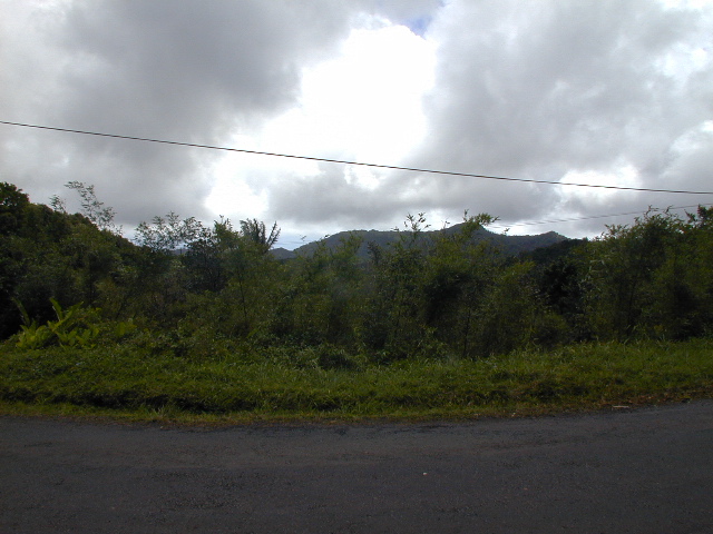 picture #11