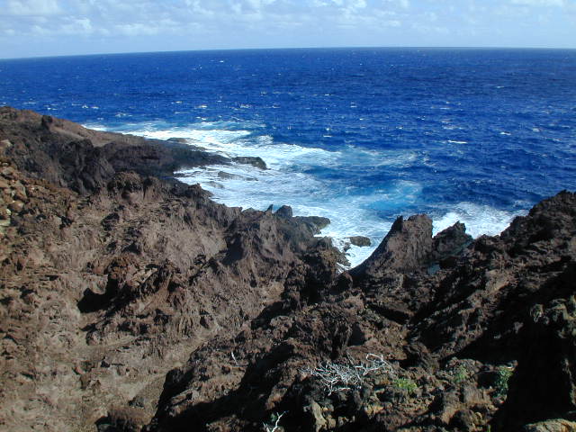 picture #30