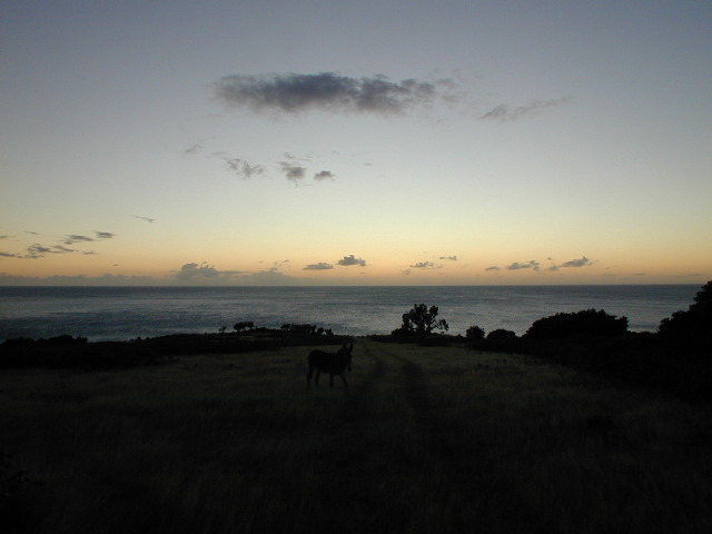 picture #12