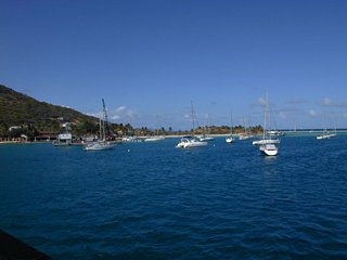 Some boats in Clifton Harbour