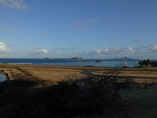 The air strip from further back