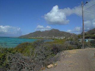A view towards Mt