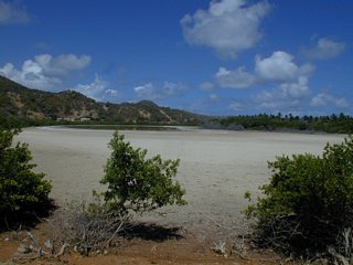 The Belmont Salt Pond