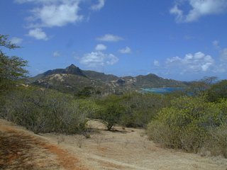 Taken from Fort Hill