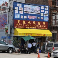 Royal Aqua World storefront